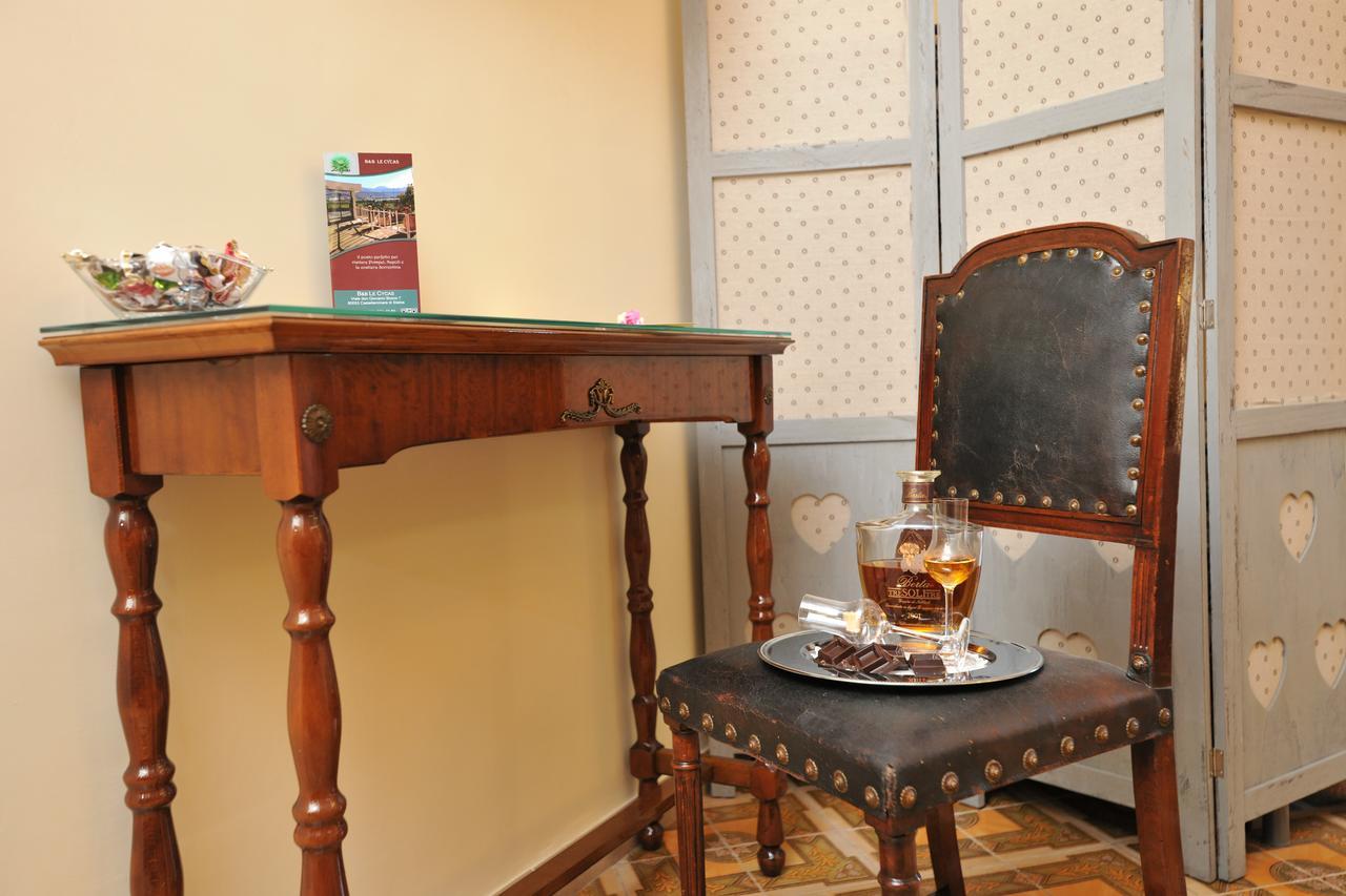 B&B Le Cycas Castellammare di Stabia Bagian luar foto