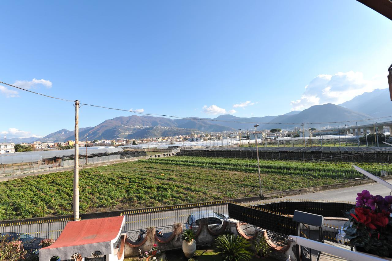 B&B Le Cycas Castellammare di Stabia Bagian luar foto