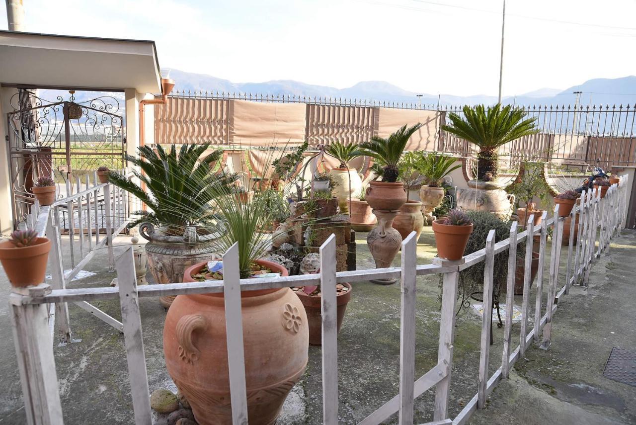 B&B Le Cycas Castellammare di Stabia Bagian luar foto