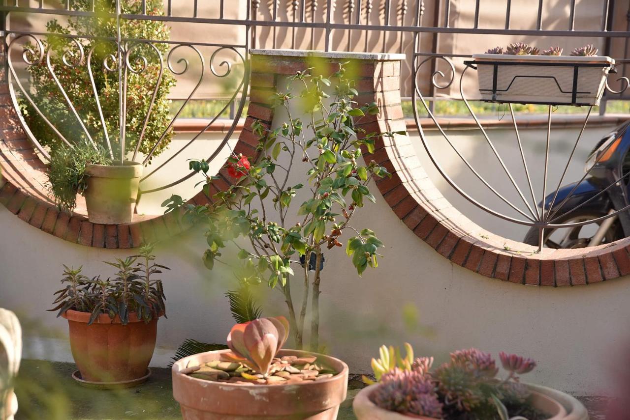 B&B Le Cycas Castellammare di Stabia Bagian luar foto